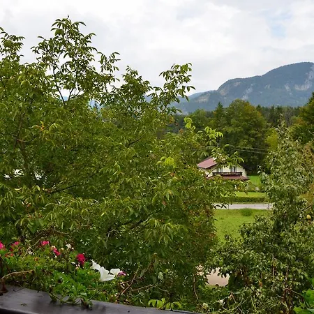 Guest house Hoferbauergut