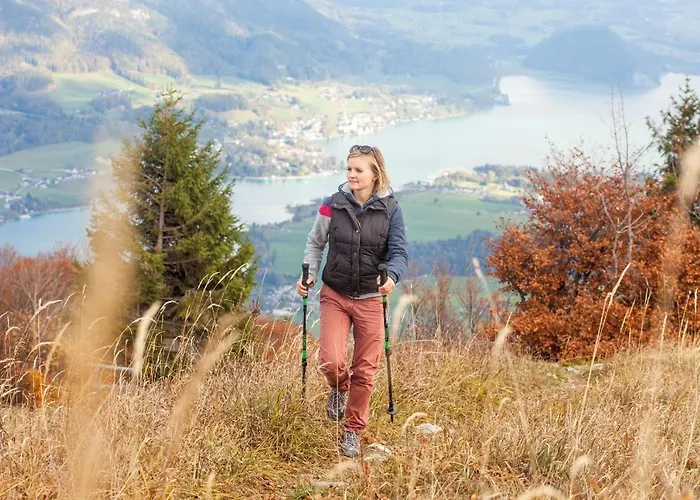 霍费巴乌古特酒店 招待所
