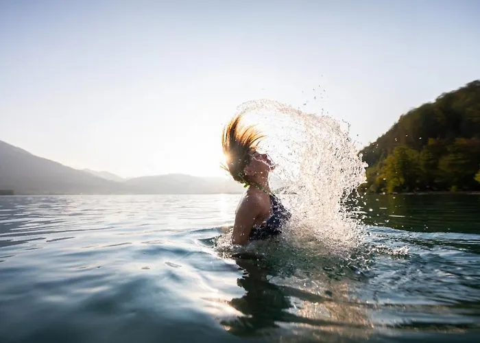 霍费巴乌古特酒店 招待所 3*