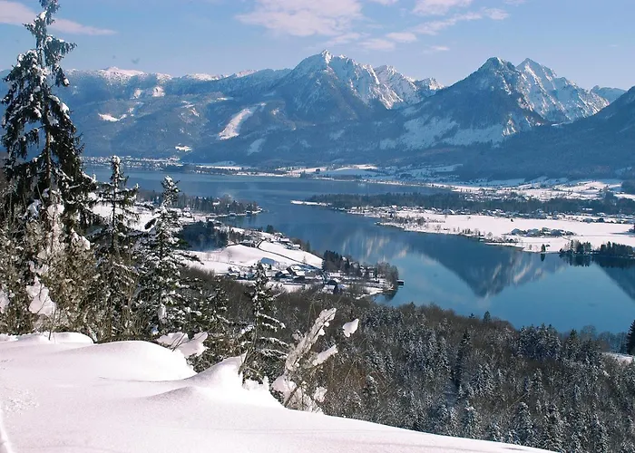 霍费巴乌古特酒店