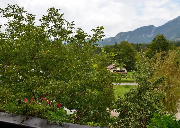 招待所 霍费巴乌古特酒店