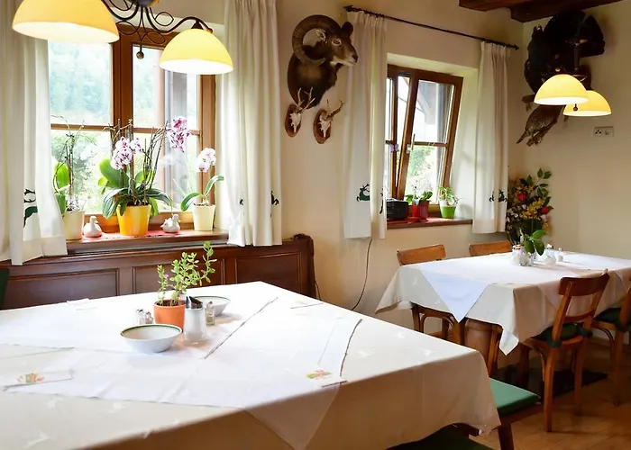 霍费巴乌古特酒店 3*